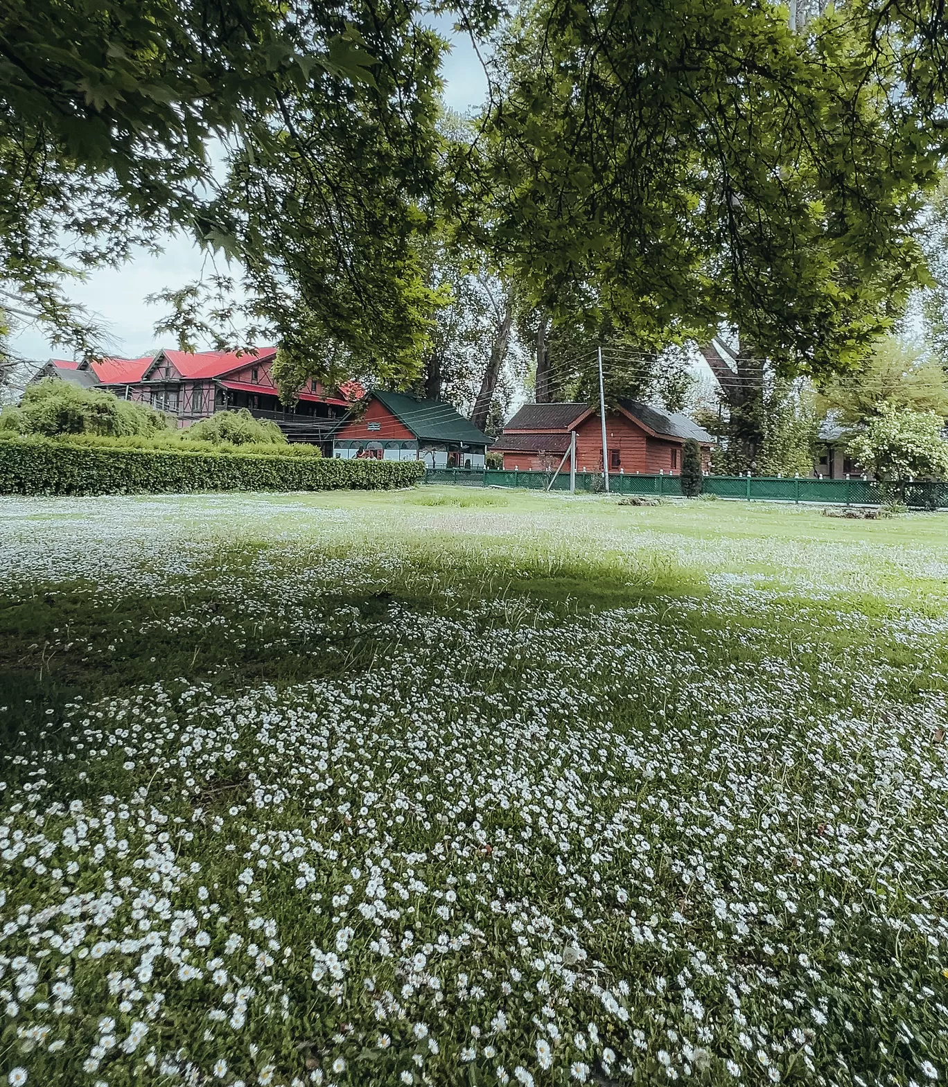 Photo of Srinagar Kashmir By Nargis Farheena 