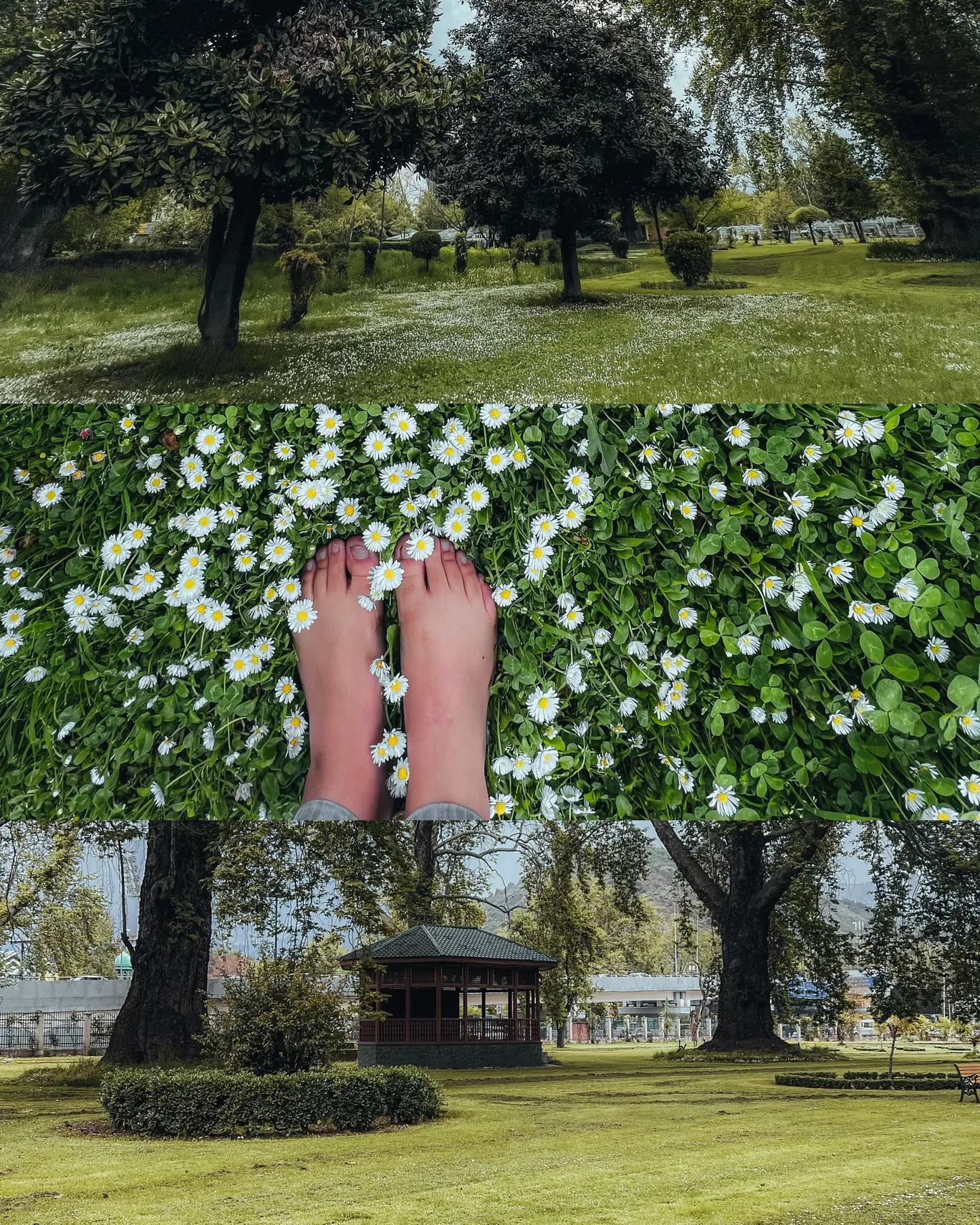 Photo of Srinagar Kashmir By Nargis Farheena 