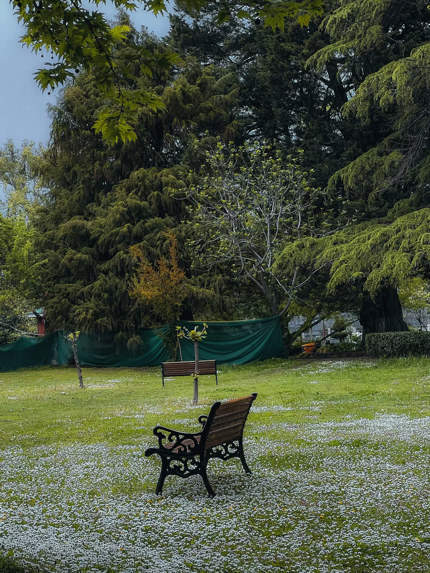 Photo of Srinagar Kashmir By Nargis Farheena 