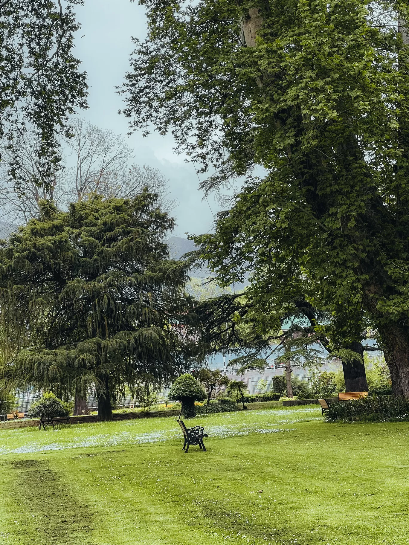 Photo of Srinagar Kashmir By Nargis Farheena 