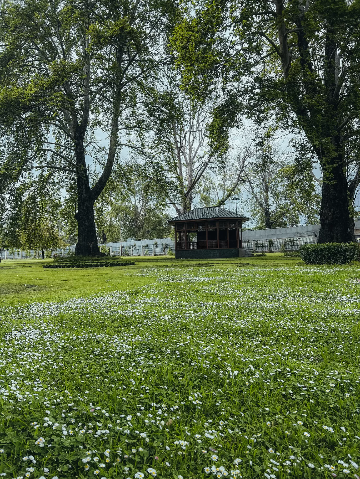 Photo of Srinagar Kashmir By Nargis Farheena 