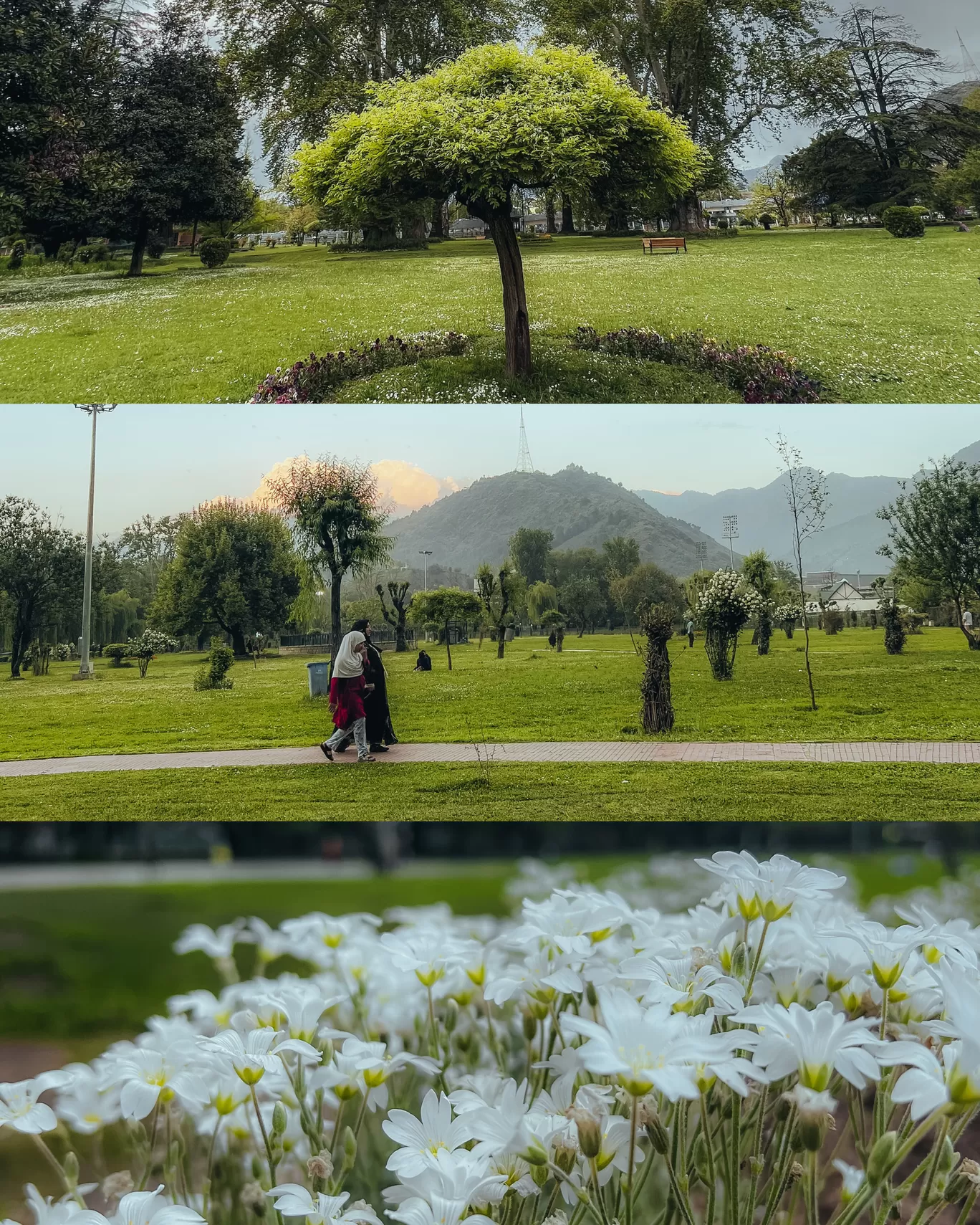 Photo of Srinagar By Nargis Farheena 