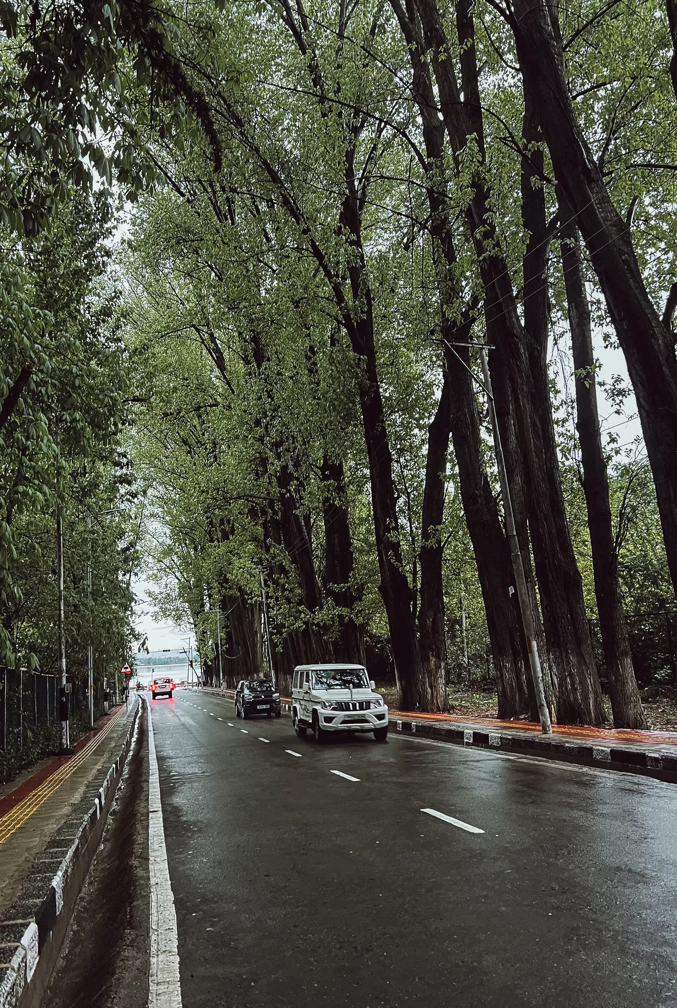 Photo of Srinagar By Nargis Farheena 