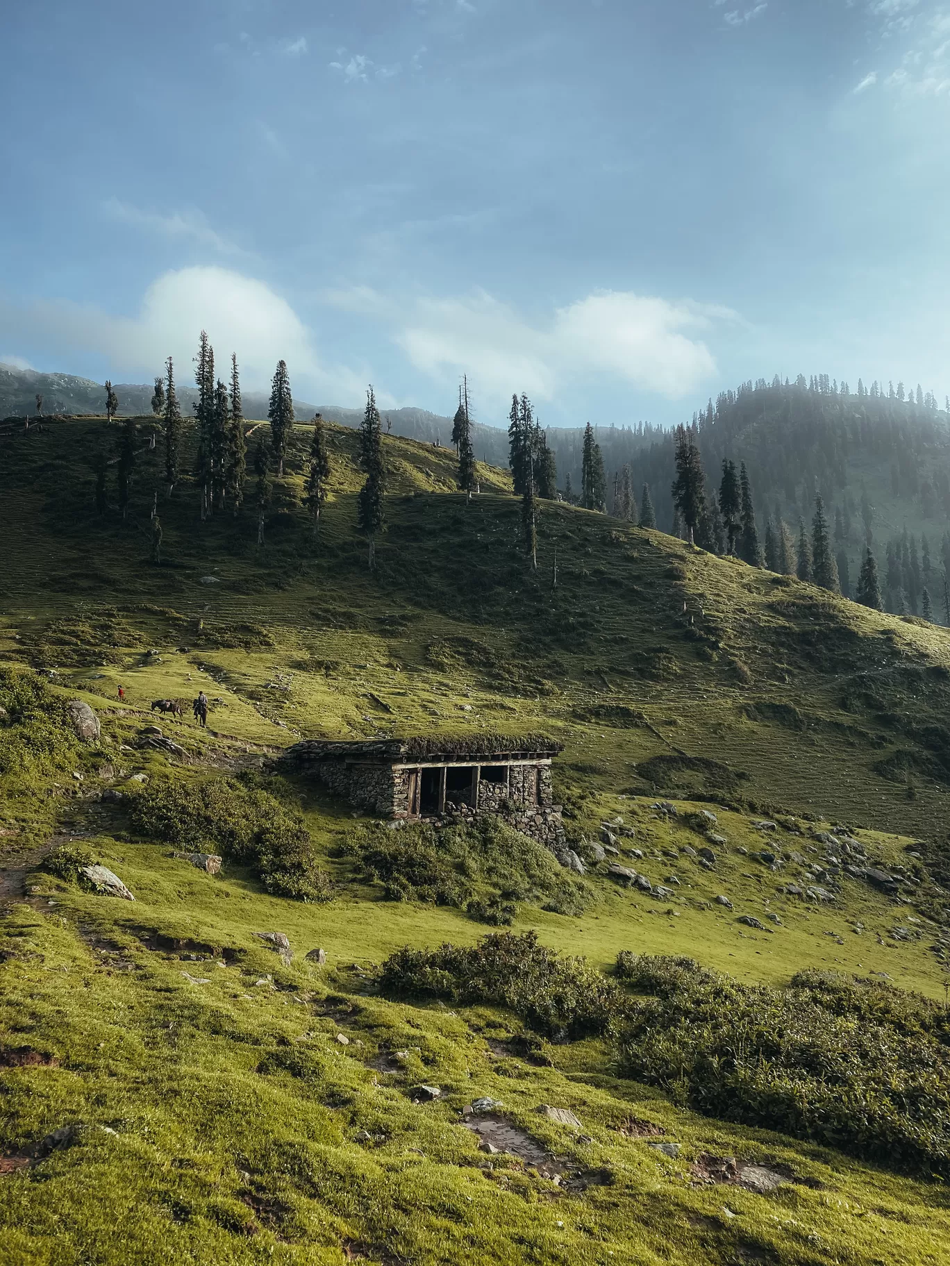 Photo of Pir Panjal Range By Nargis Farheena 