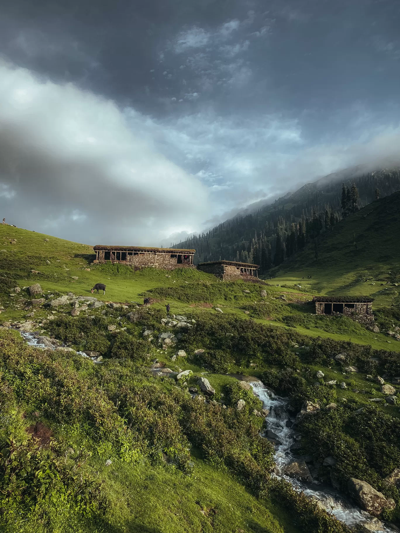 Photo of Pir Panjal Range By Nargis Farheena 