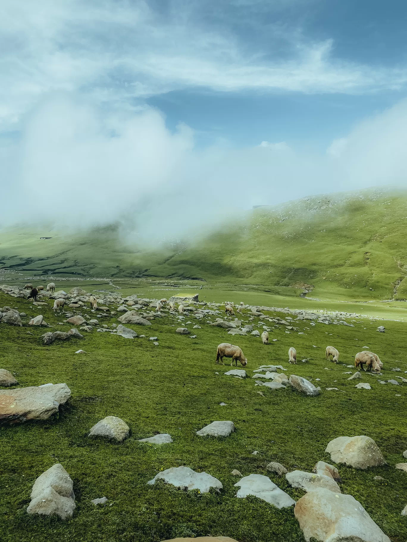 Photo of Pir Panjal Range By Nargis Farheena 