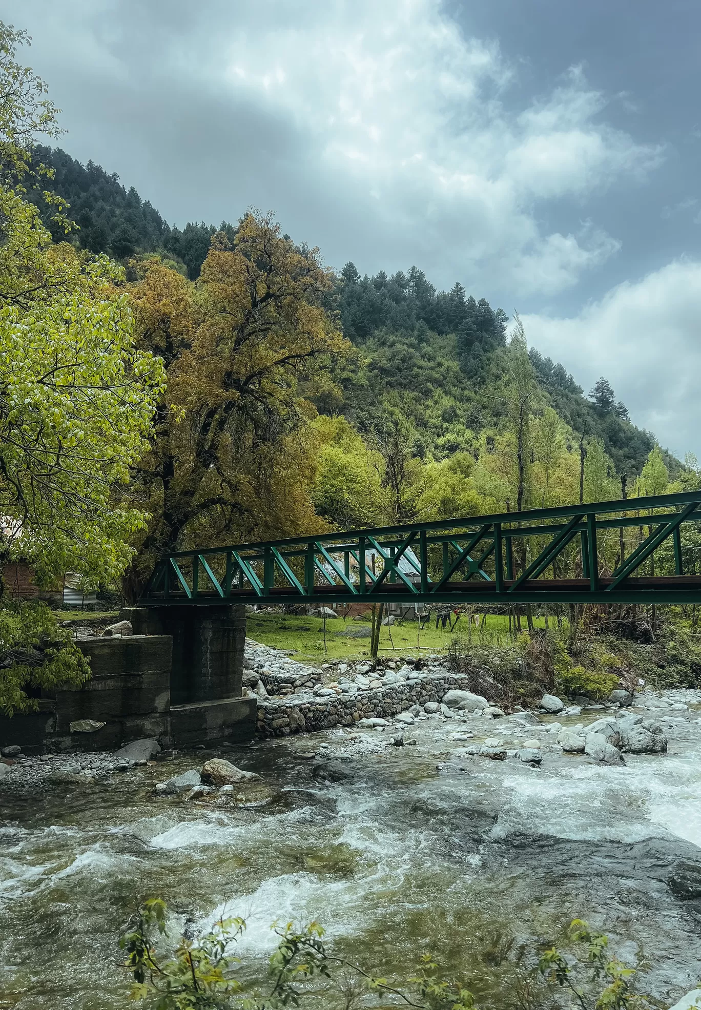 Photo of Tral Awantipora By Nargis Farheena 