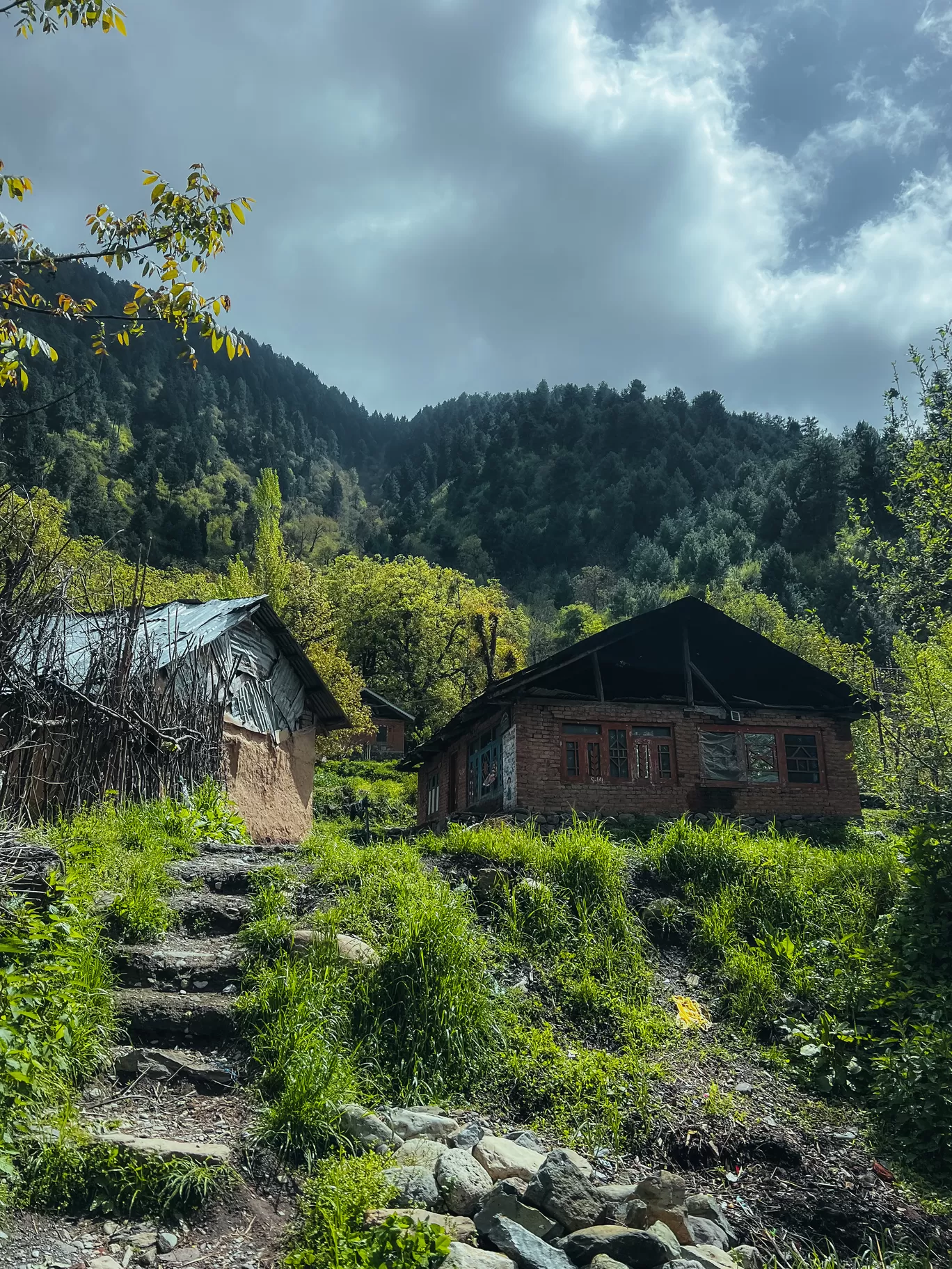 Photo of Tral Awantipora By Nargis Farheena 