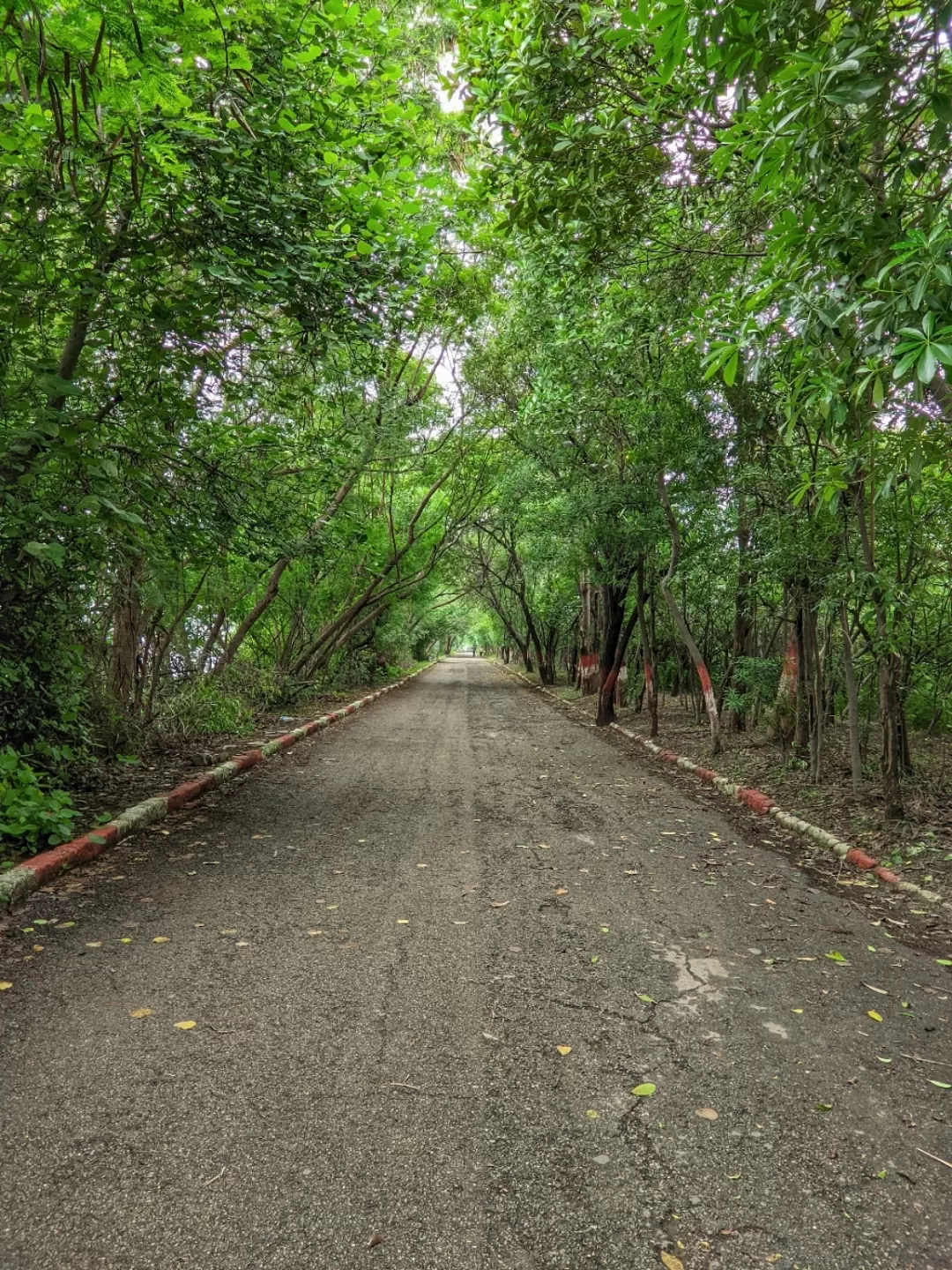 Photo of Okhla Bird Sanctuary By Danish Tauqir