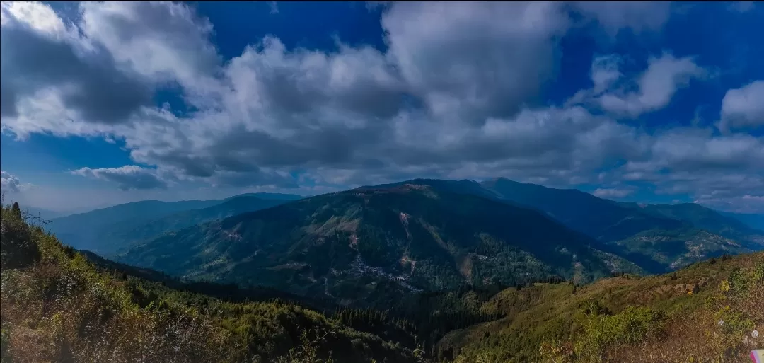 Photo of Darjeeling By Durba Sur