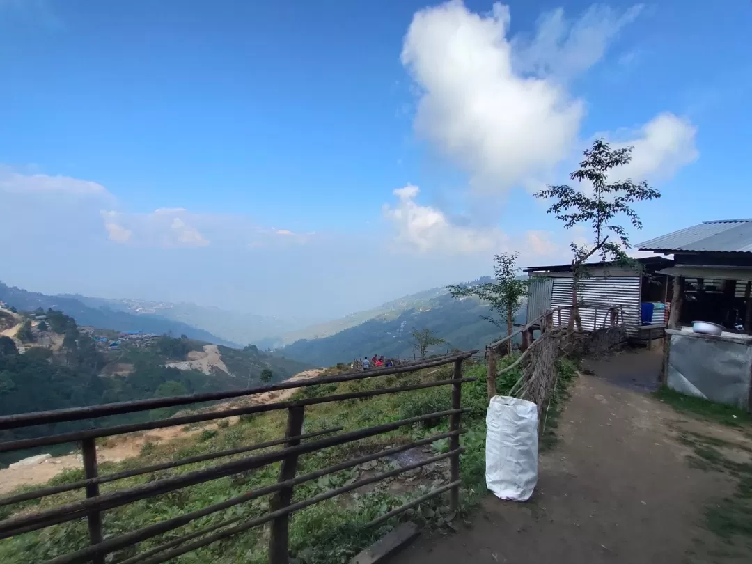 Photo of Darjeeling Tea Garden By Durba Sur