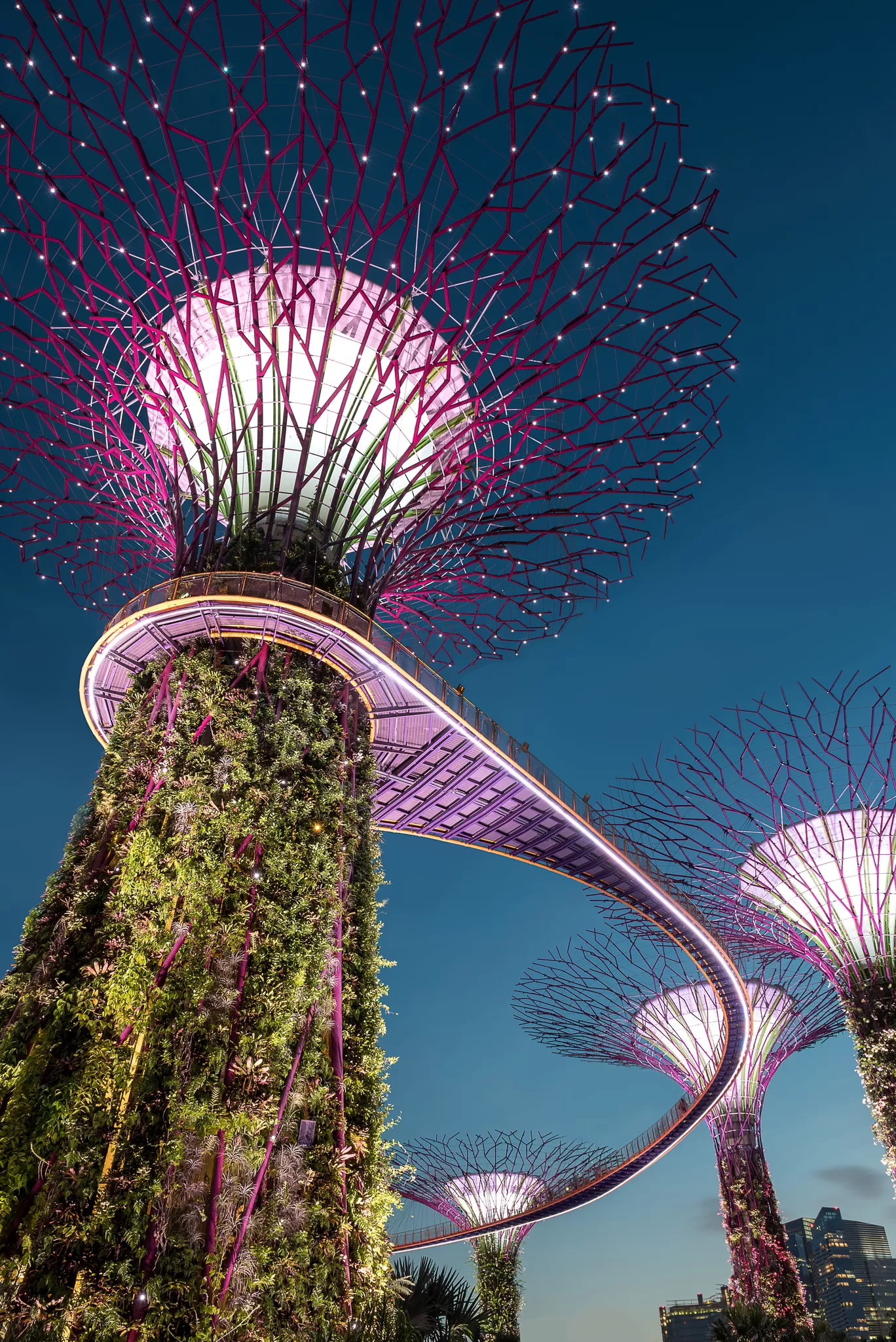 Photo of Gardens by the Bay By akshaya subash
