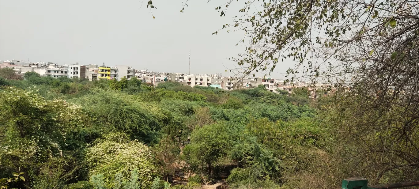Photo of The Garden of Five Senses By Sanju Raja