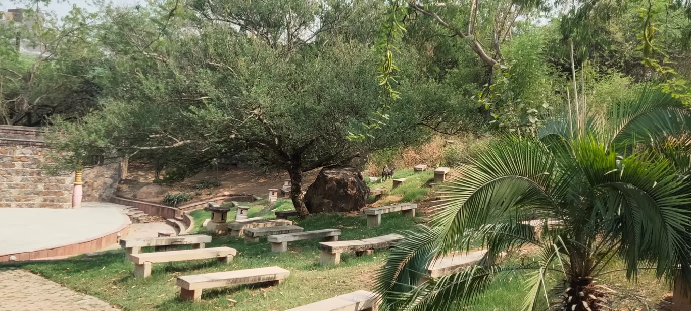 Photo of The Garden of Five Senses By Sanju Raja