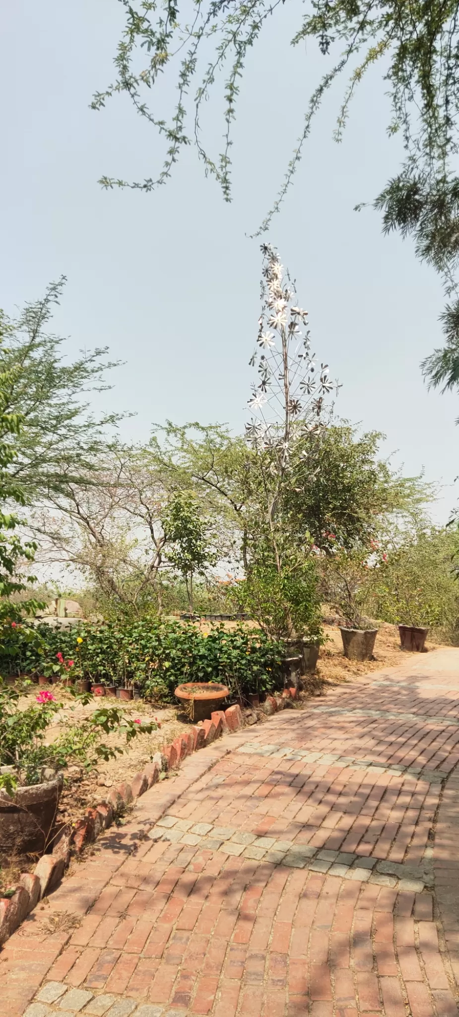 Photo of The Garden of Five Senses By Sanju Raja