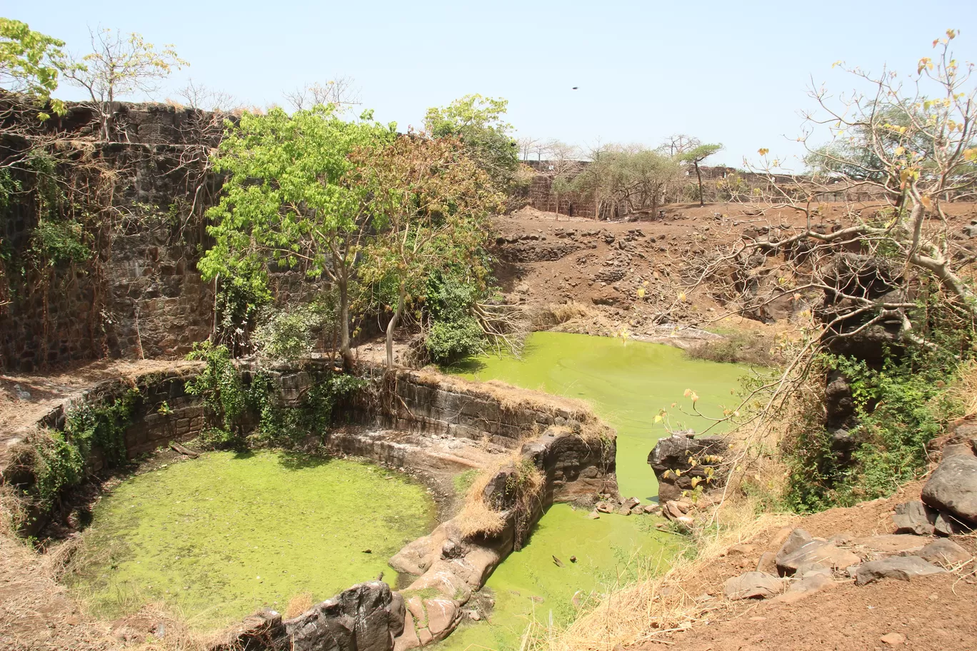 Photo of Suvarnadurg Fort By Saikat Das
