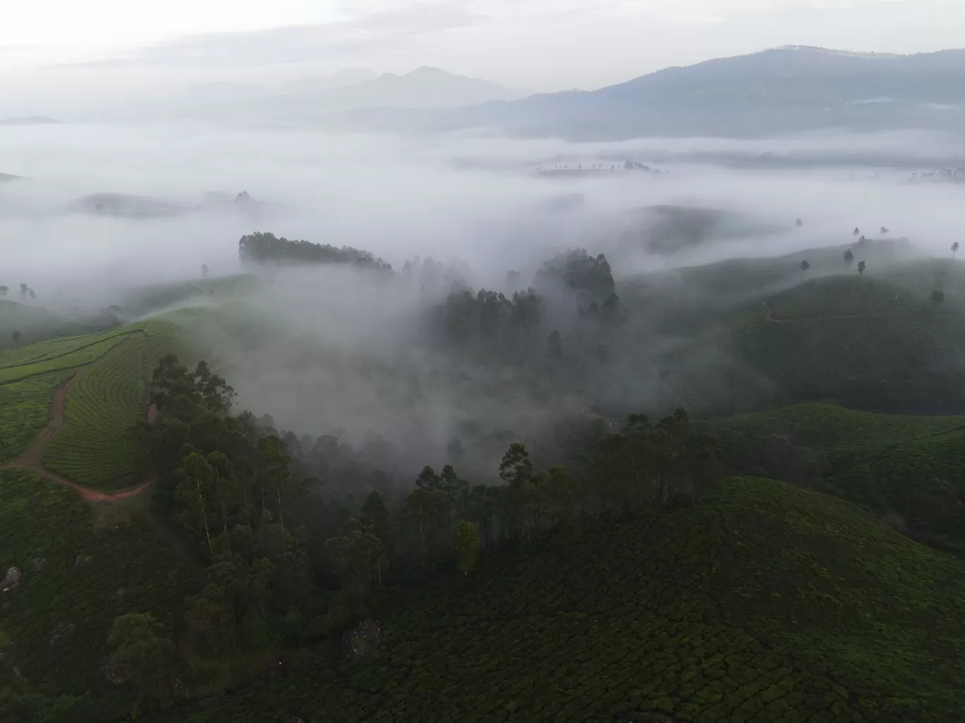 Photo of Lockhart Gap View By Saikat Das