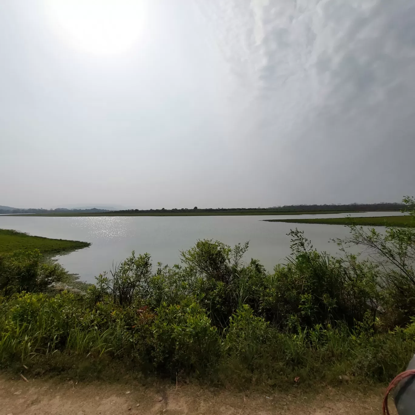 Photo of Kaziranga National Park By Yogini Patil