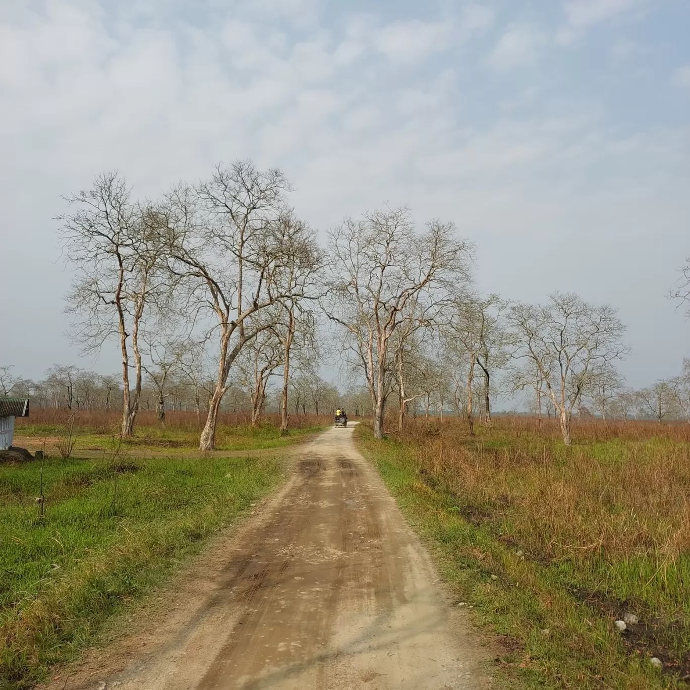 Photo of Kaziranga National Park By Yogini Patil