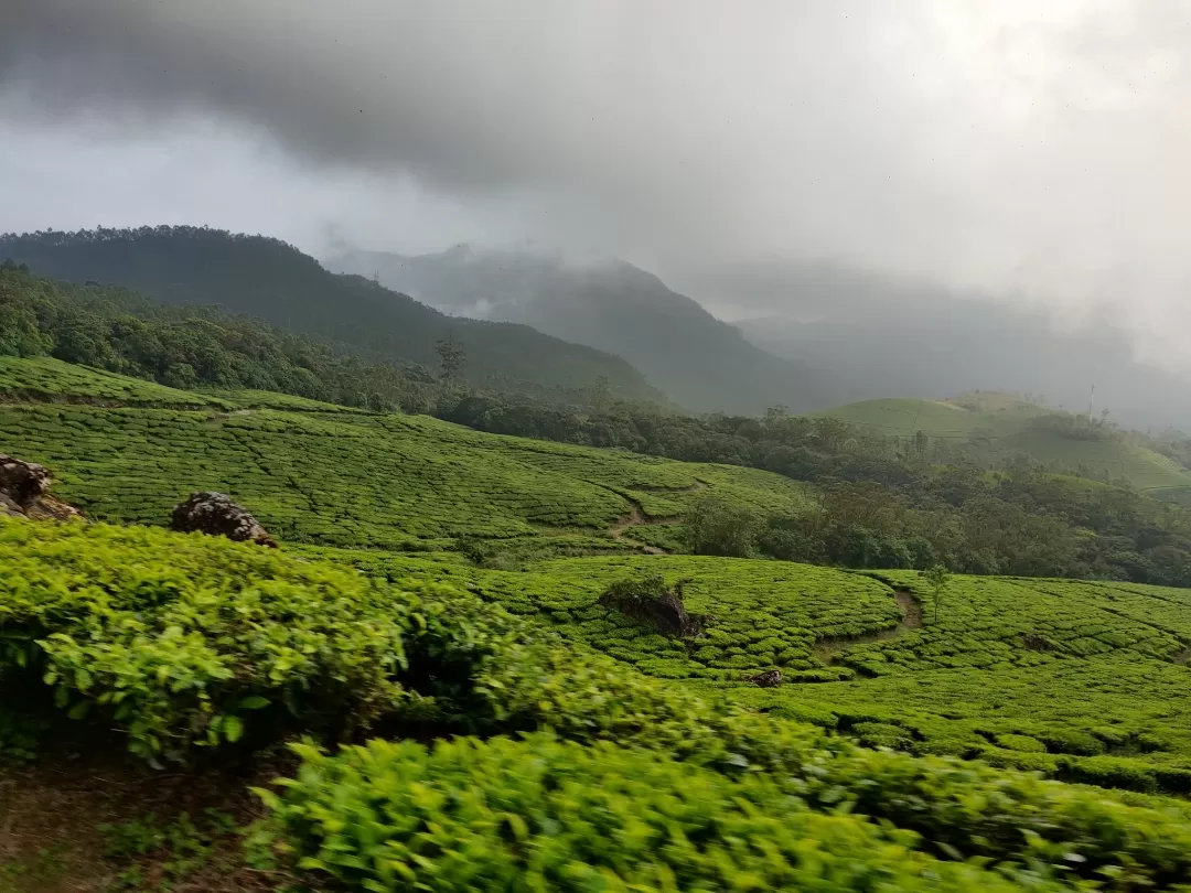 Photo of Munnar By Nikhil Bhati