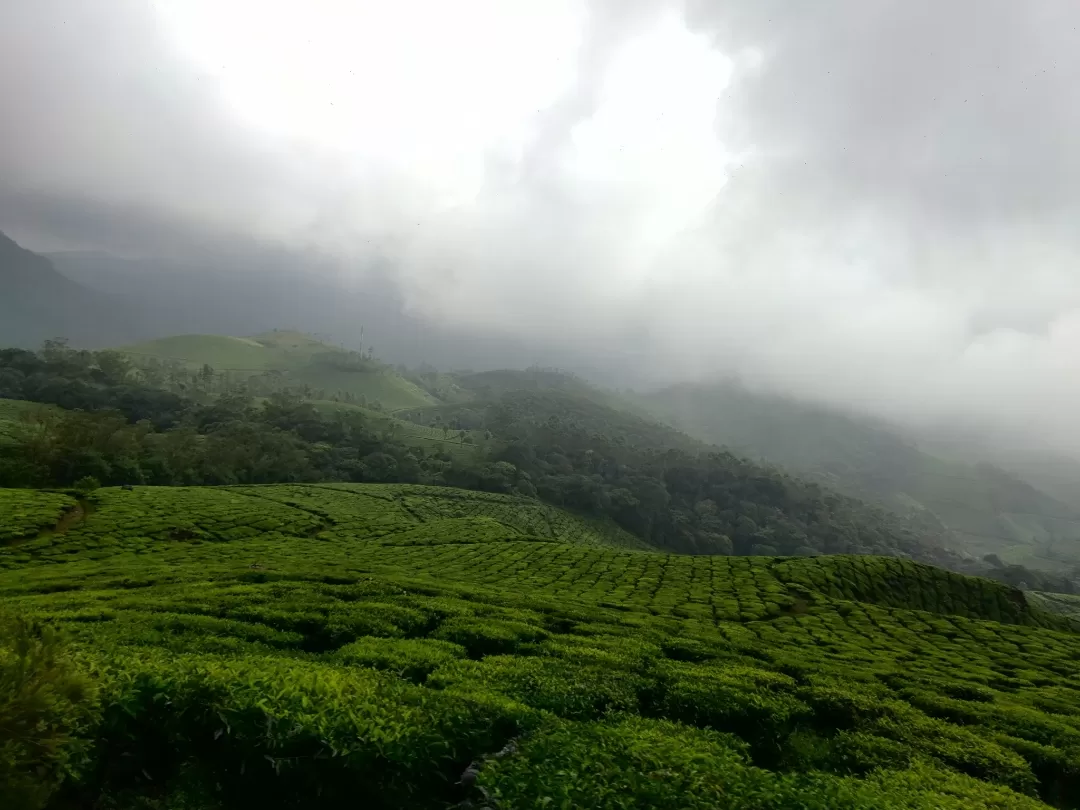 Photo of Munnar By Nikhil Bhati