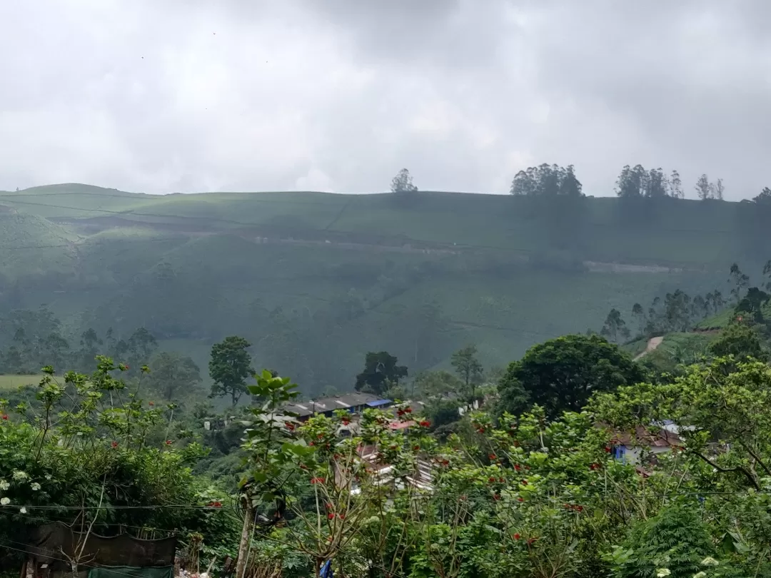 Photo of Munnar By Nikhil Bhati