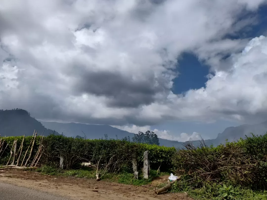 Photo of Munnar By Nikhil Bhati