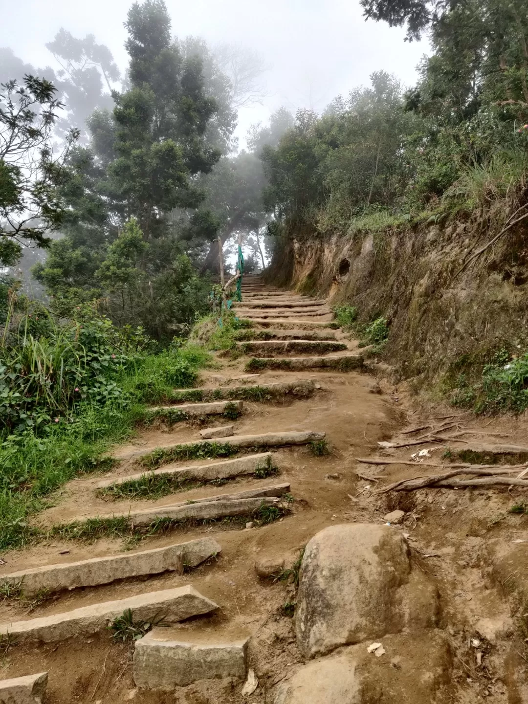 Photo of Munnar By Nikhil Bhati