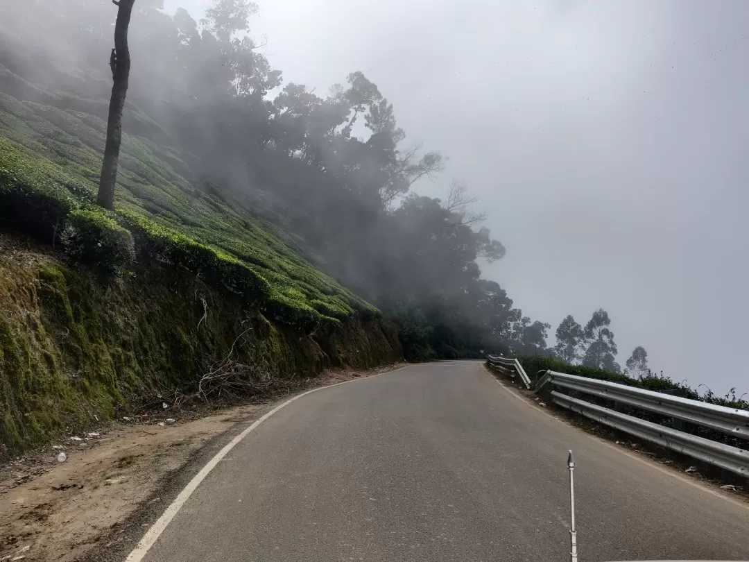 Photo of Munnar By Nikhil Bhati