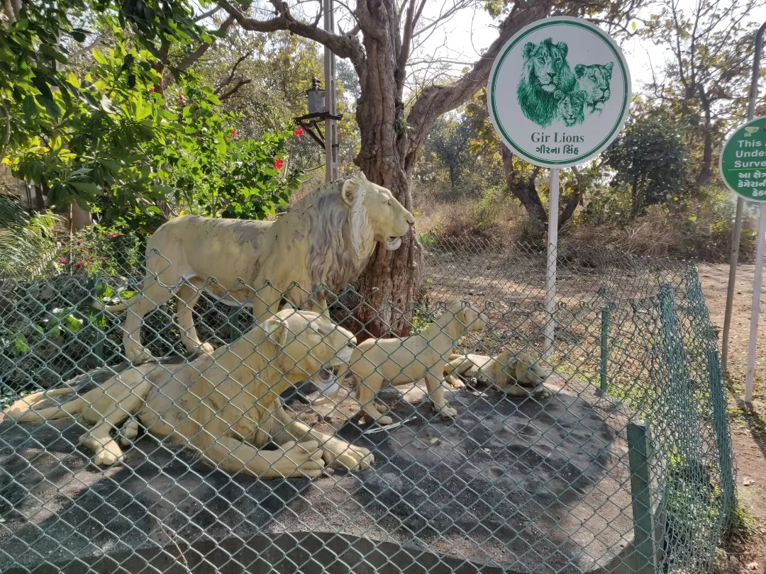 Photo of Gir National Park By Nikhil Bhati