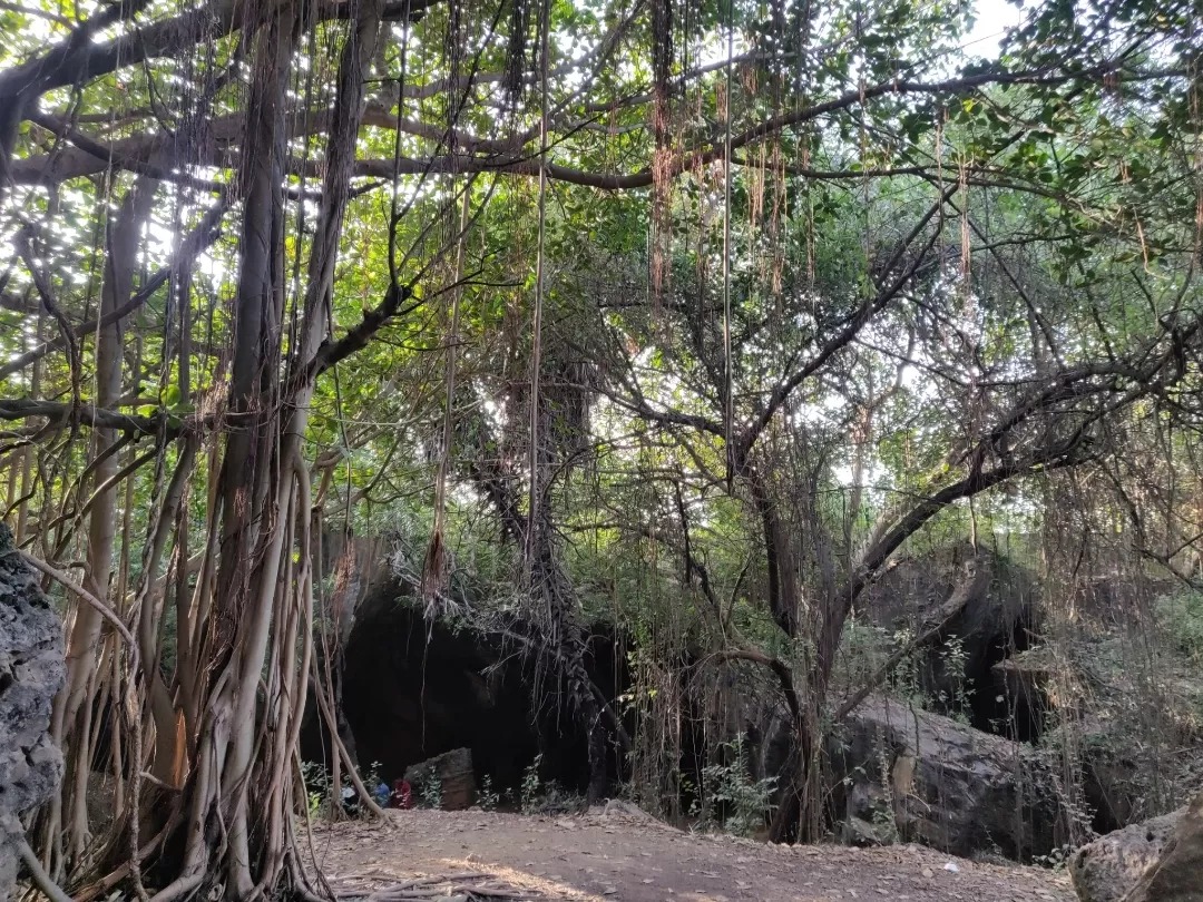 Photo of Naida Caves By Nikhil Bhati