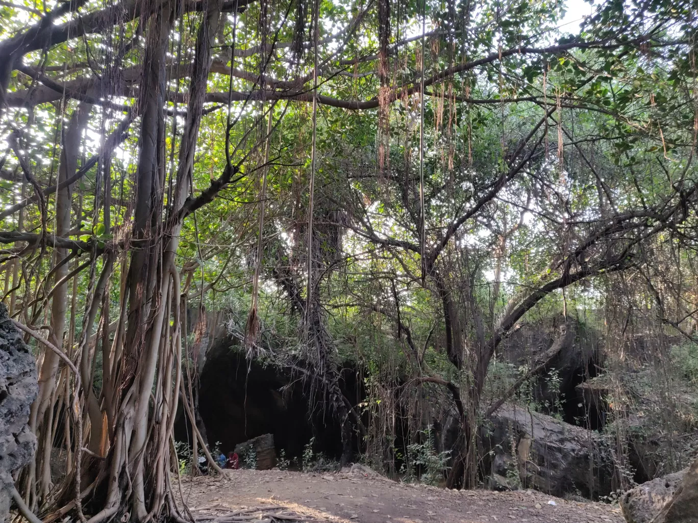 Photo of Naida Caves By Nikhil Bhati