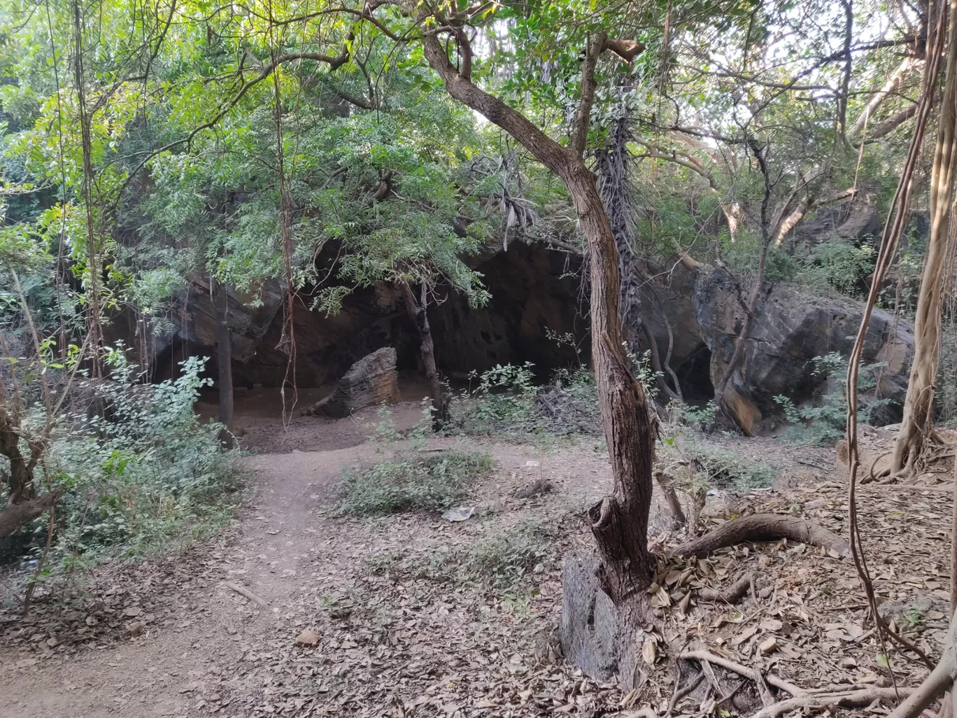 Photo of Naida Caves By Nikhil Bhati