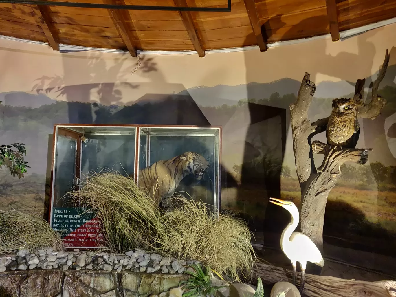 Photo of Jim Corbett Museum By Nikhil Bhati