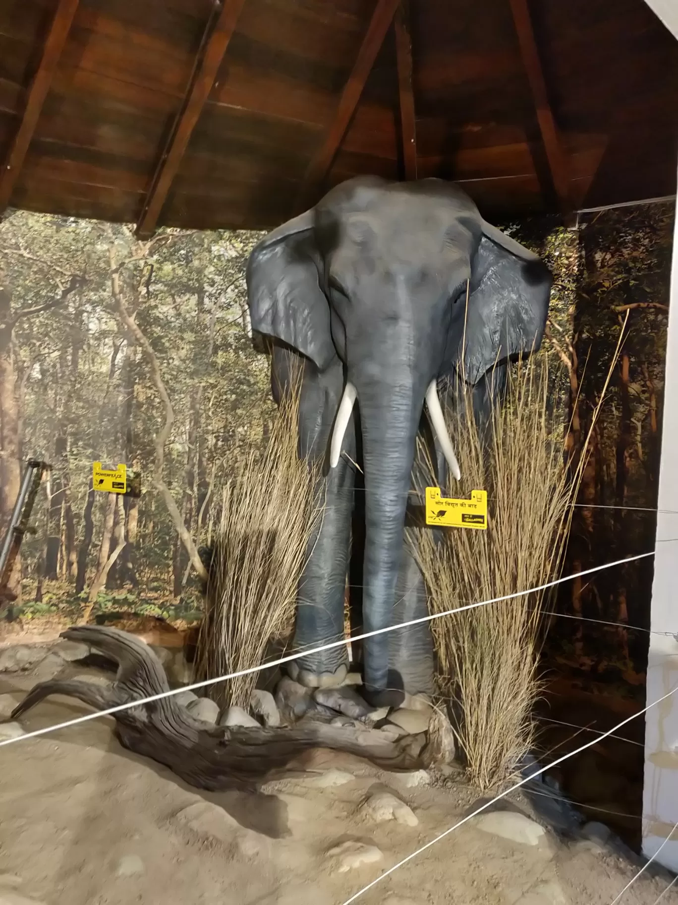 Photo of Jim Corbett Museum By Nikhil Bhati