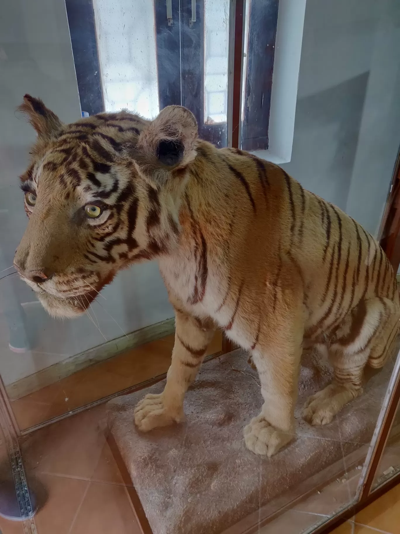 Photo of Jim Corbett Museum By Nikhil Bhati