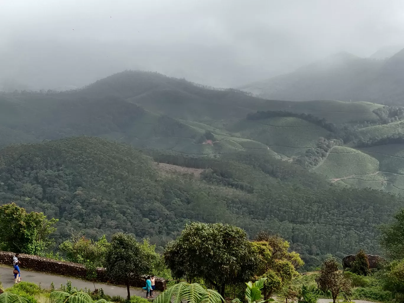 Photo of Munnar By Nikhil Bhati