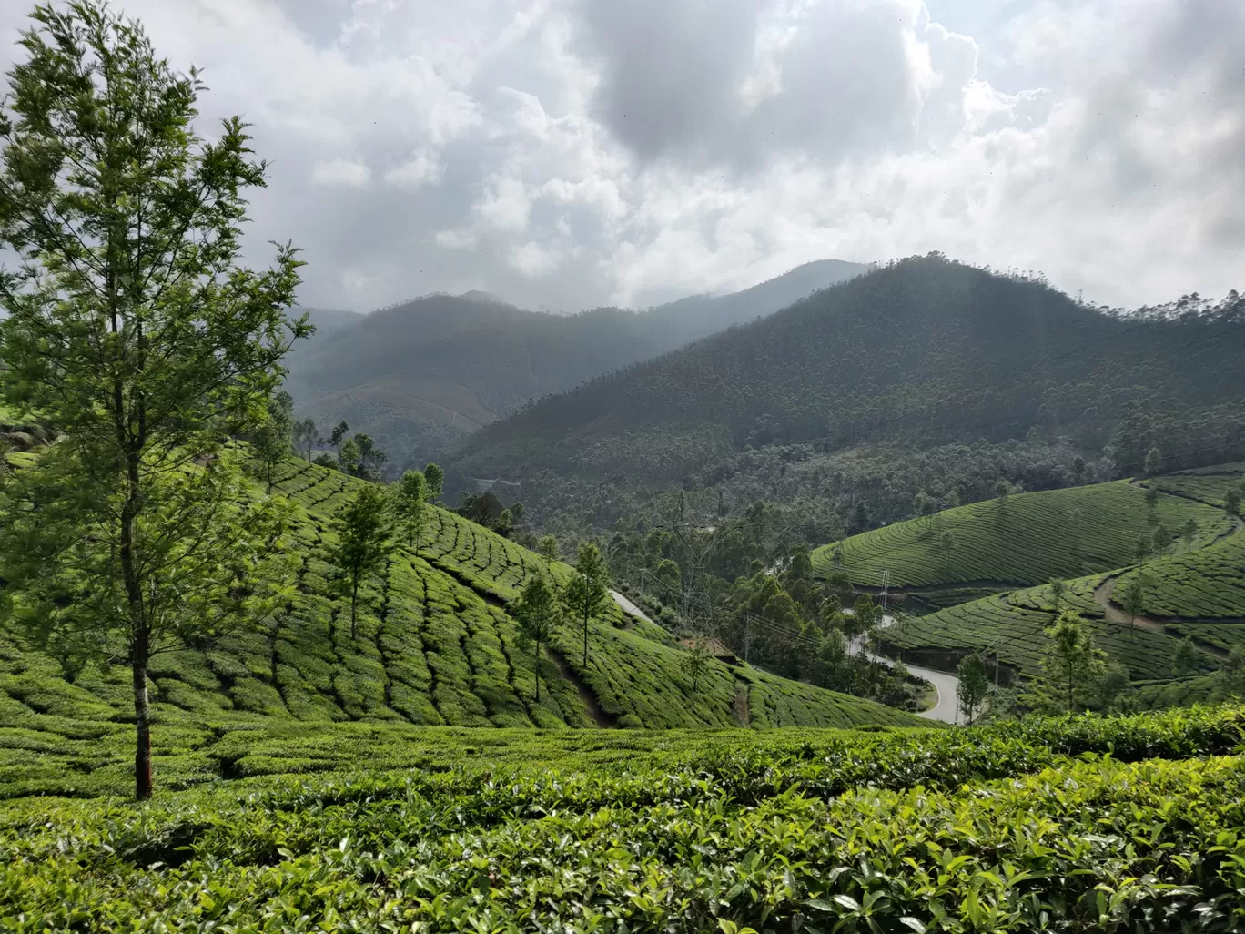 Photo of Munnar By Nikhil Bhati