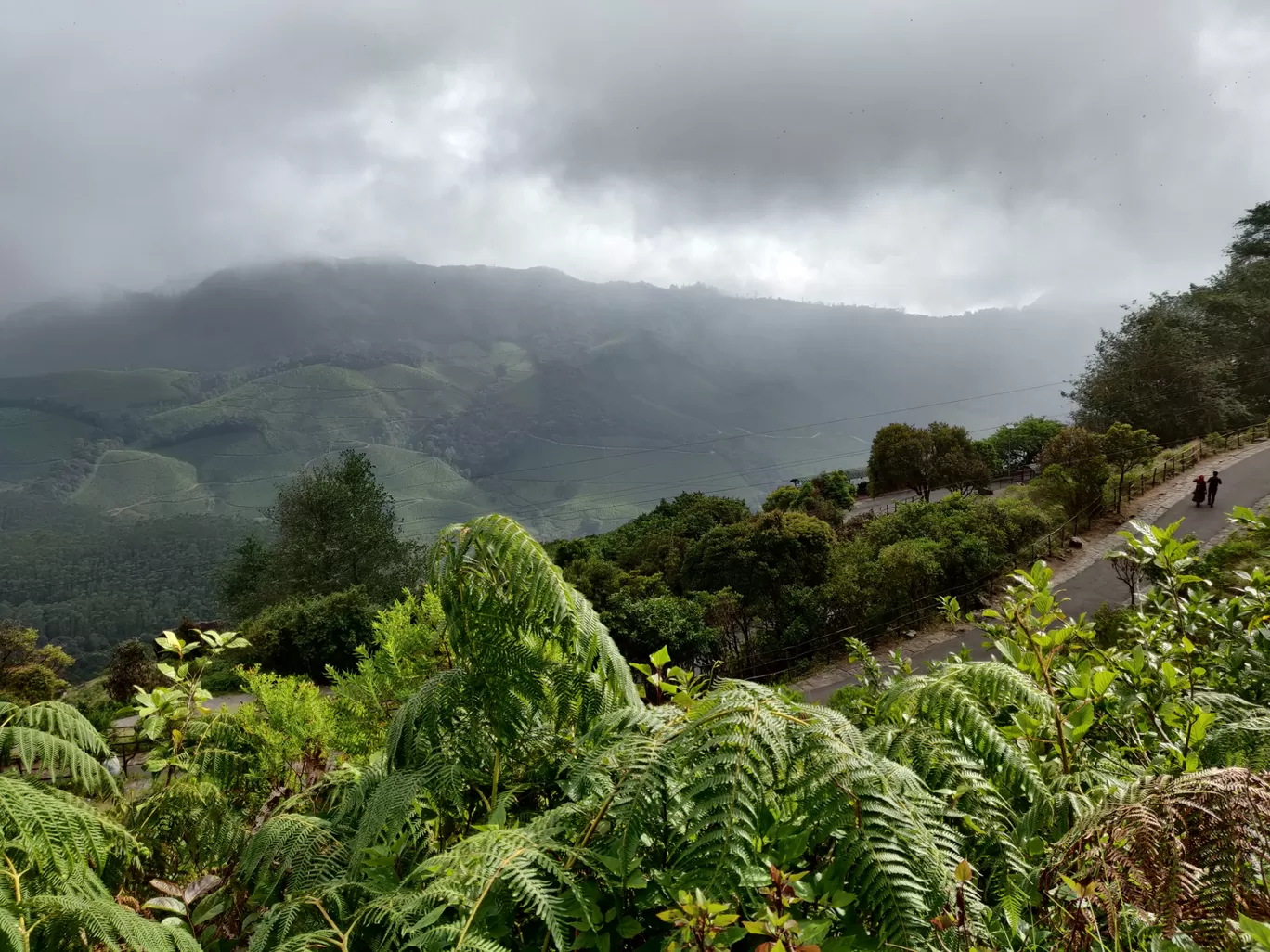 Photo of Munnar By Nikhil Bhati