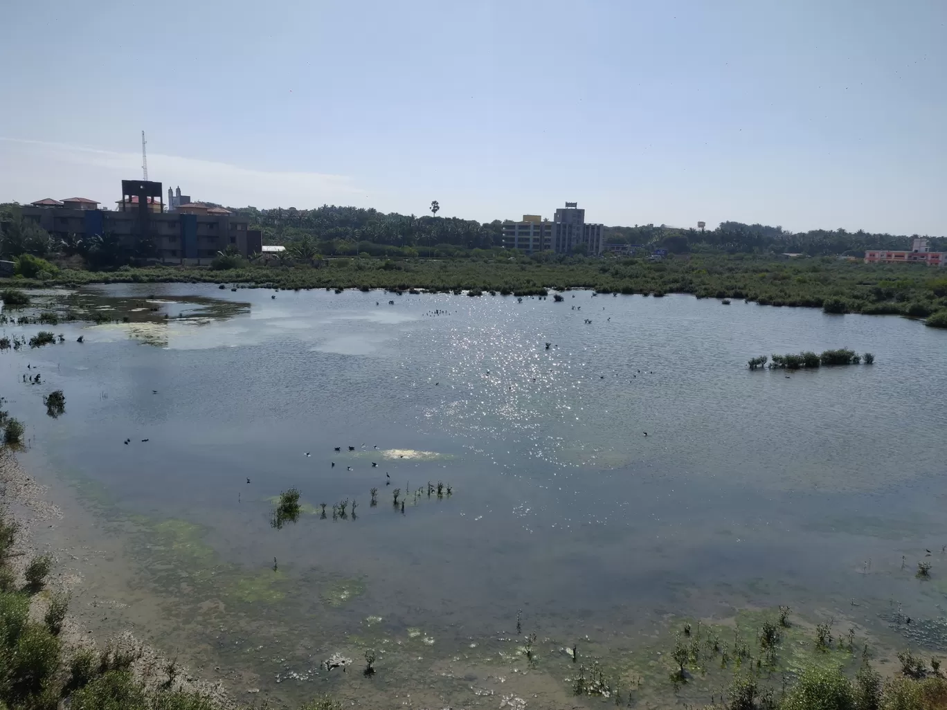 Photo of Fudam Bird Sanctuary By Nikhil Bhati