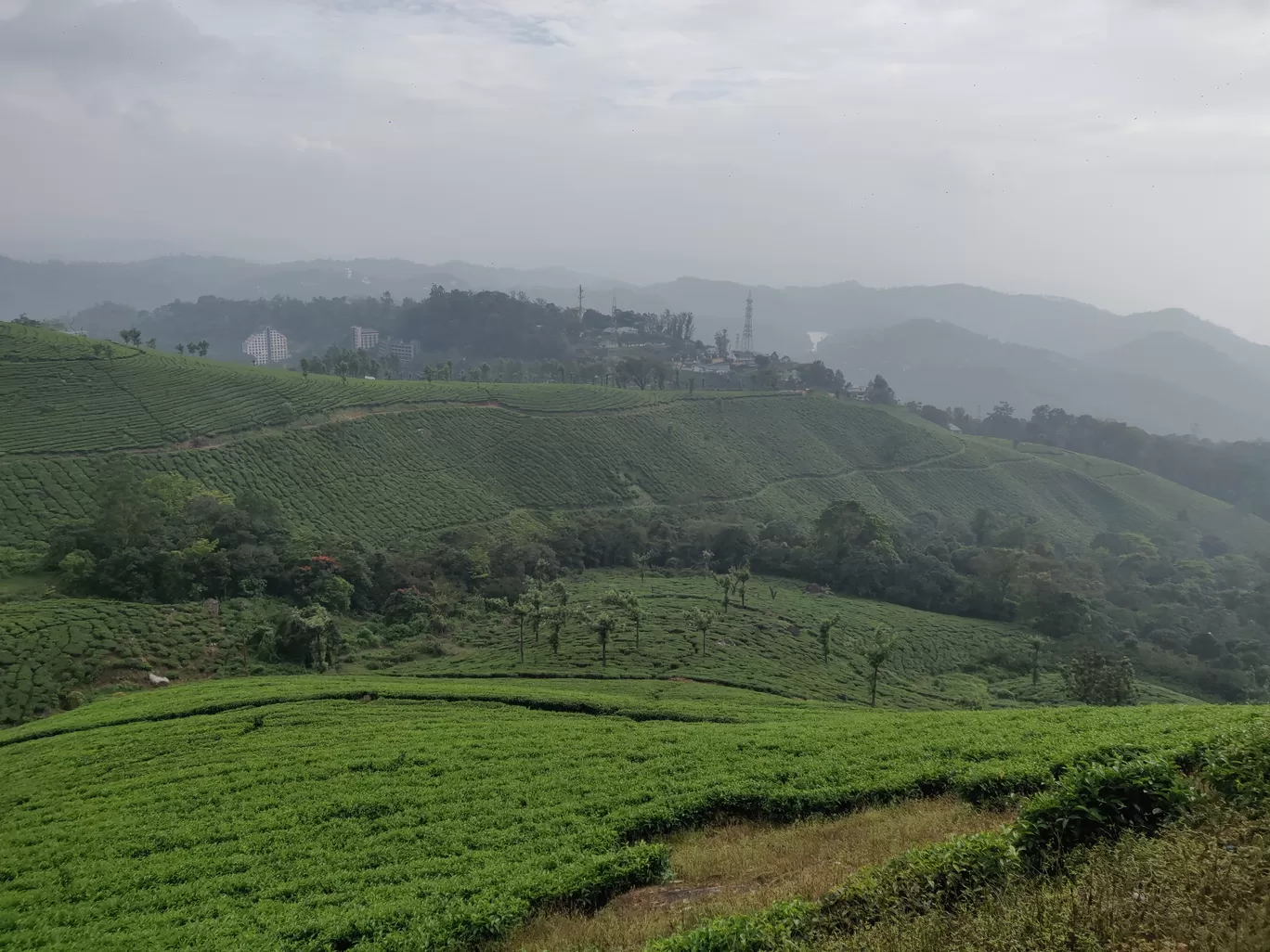 Photo of Kerala By Nikhil Bhati