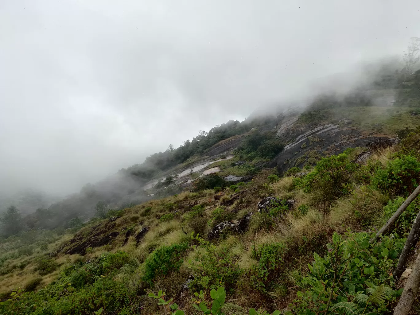 Photo of Kerala By Nikhil Bhati