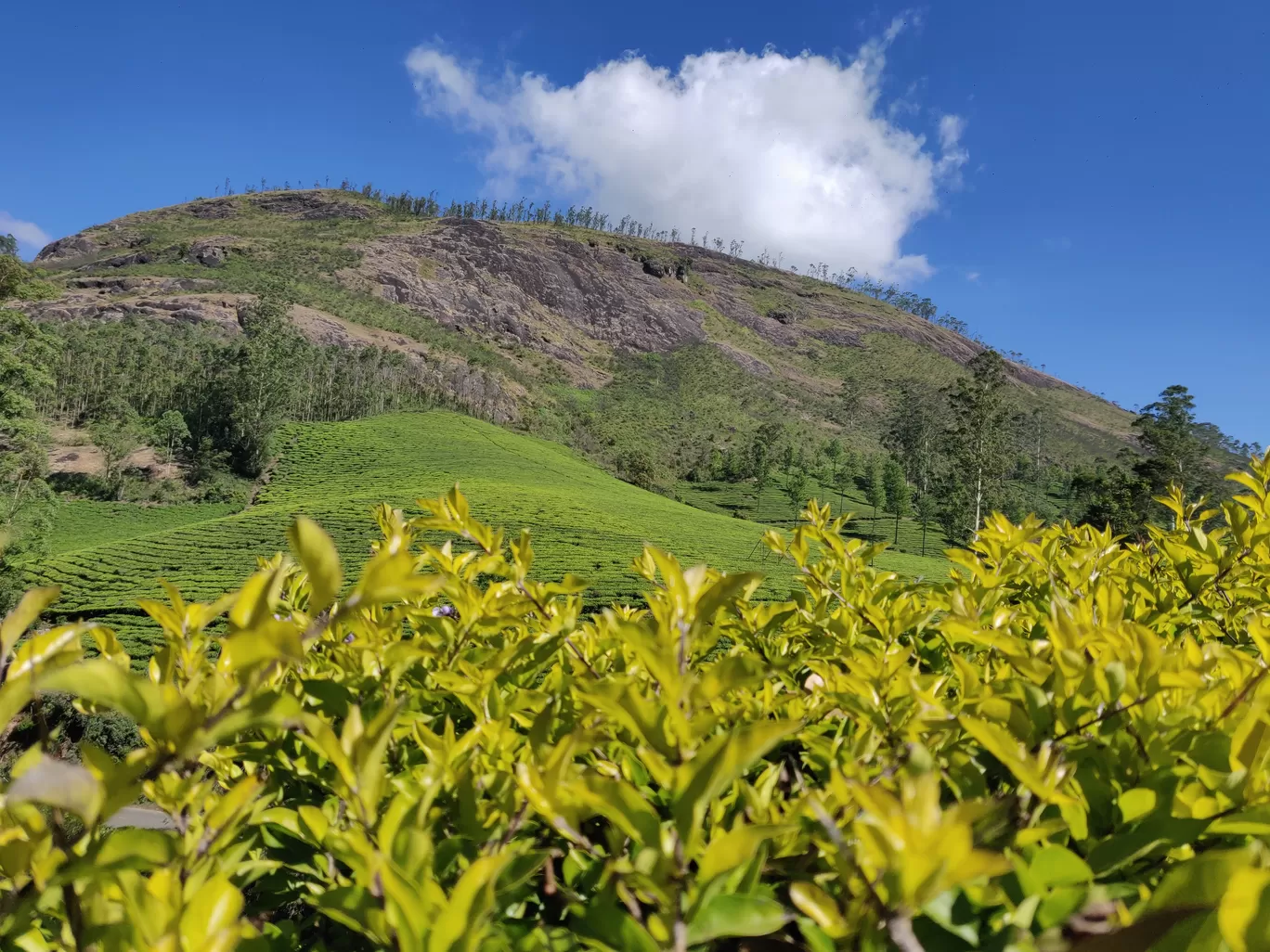 Photo of Kerala By Nikhil Bhati
