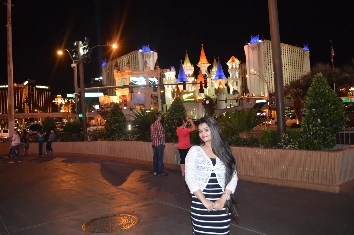 Photo of Las Vegas Strip By Rashmi Verma