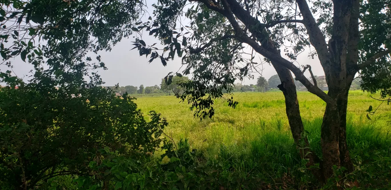 Photo of Berhampur By Sila Santosh Kumar 