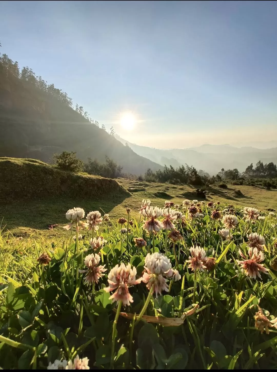 Photo of Ooty By Suhan v Balegar