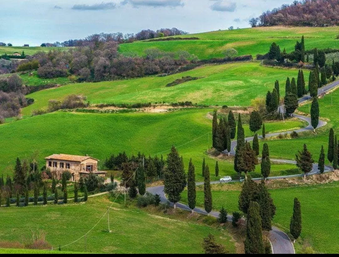 Photo of Ooty By Suhan v Balegar