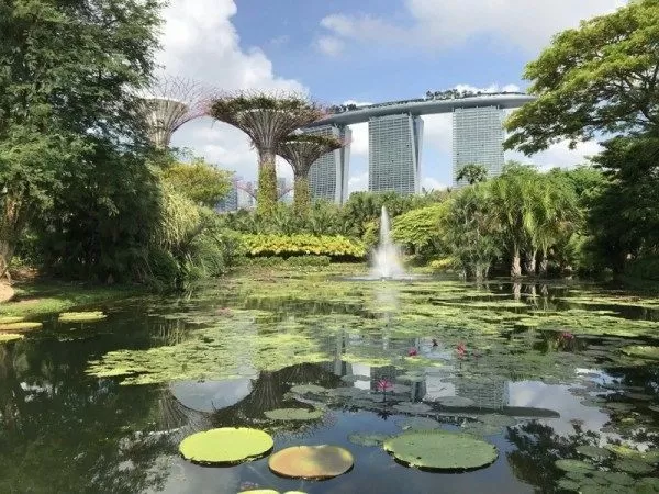 Photo of Singapore By Aditya Dave