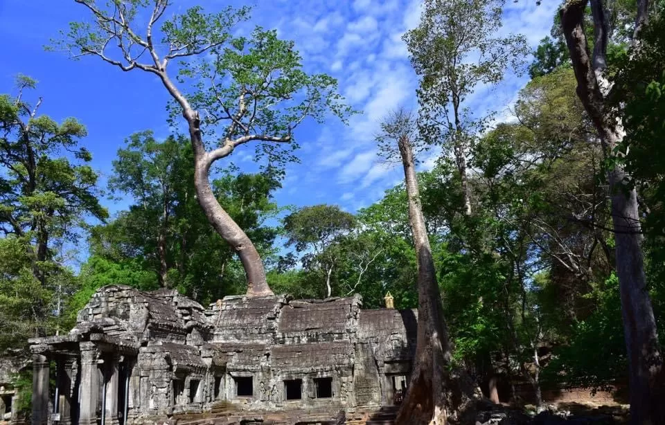 Photo of Cambodia By Madan Singh (Maddy)