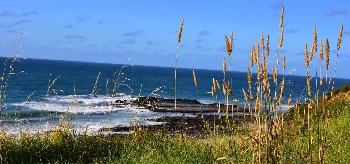 Photo of Great Ocean Road By Madan Singh (Maddy)